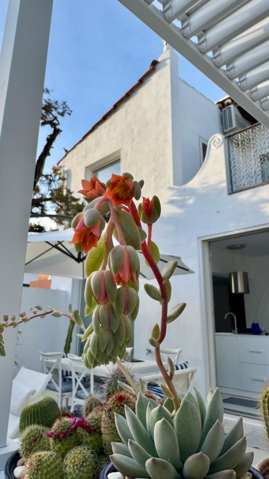 Casa Blu Marbella Villa Екстериор снимка
